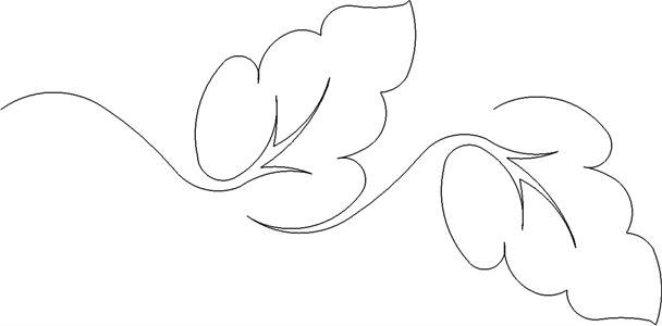 A drawing of leaves and stems in black and white.