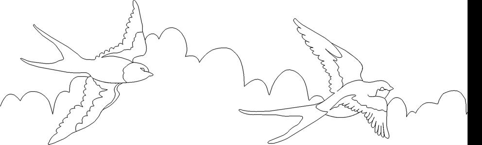 A bird flying in the sky with its wings spread.