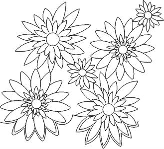 A bunch of flowers that are in the grass