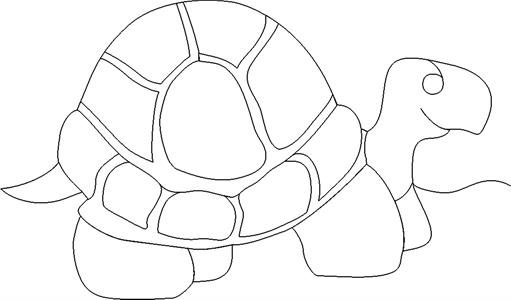 A turtle is drawn in black and white.
