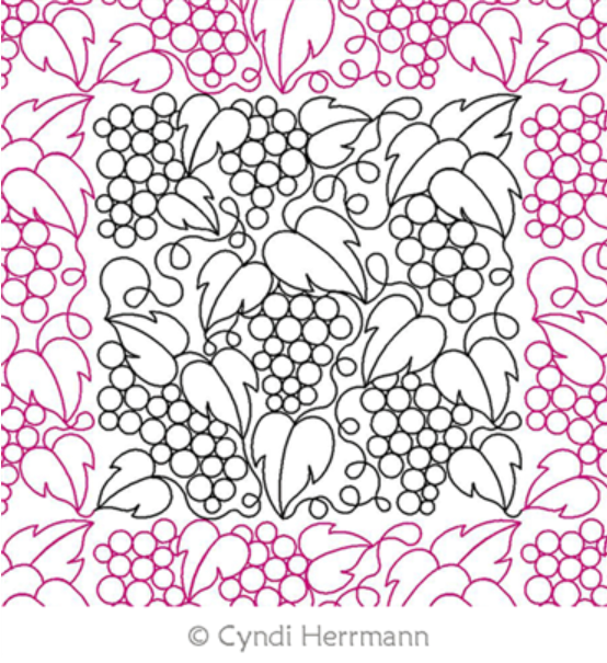 A coloring page of grapes and leaves with a pink border.